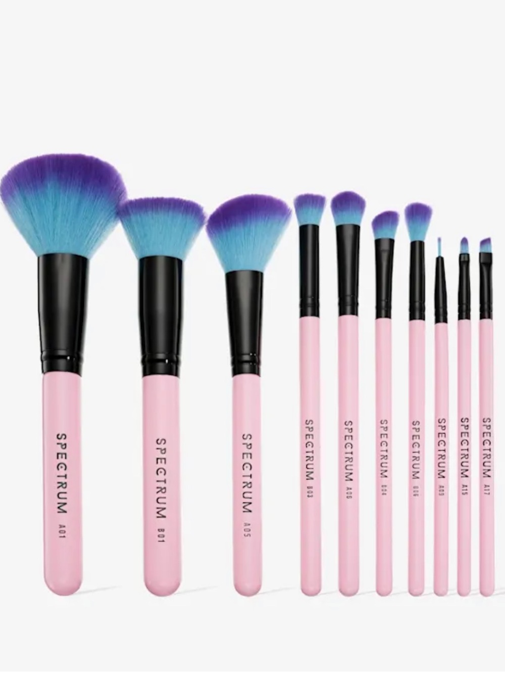 Spectrum Collections 10 Piece Essential Makeup Brush Set BRAND NEW IN BOX